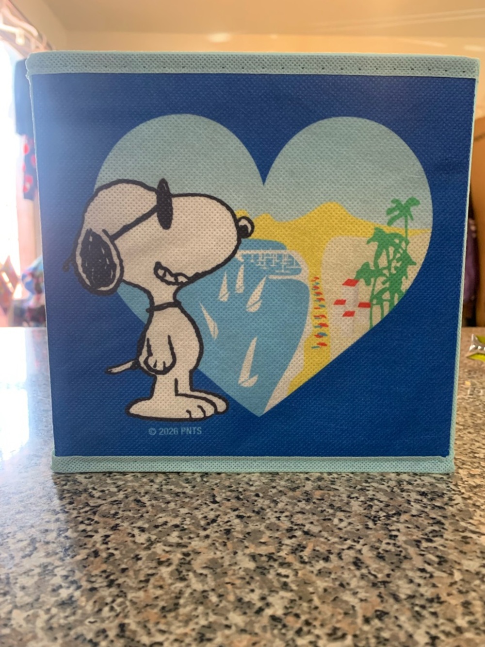 Peanuts Snoopy Heart Beach Organizer for Cubby Bin - Blue and Light Blue